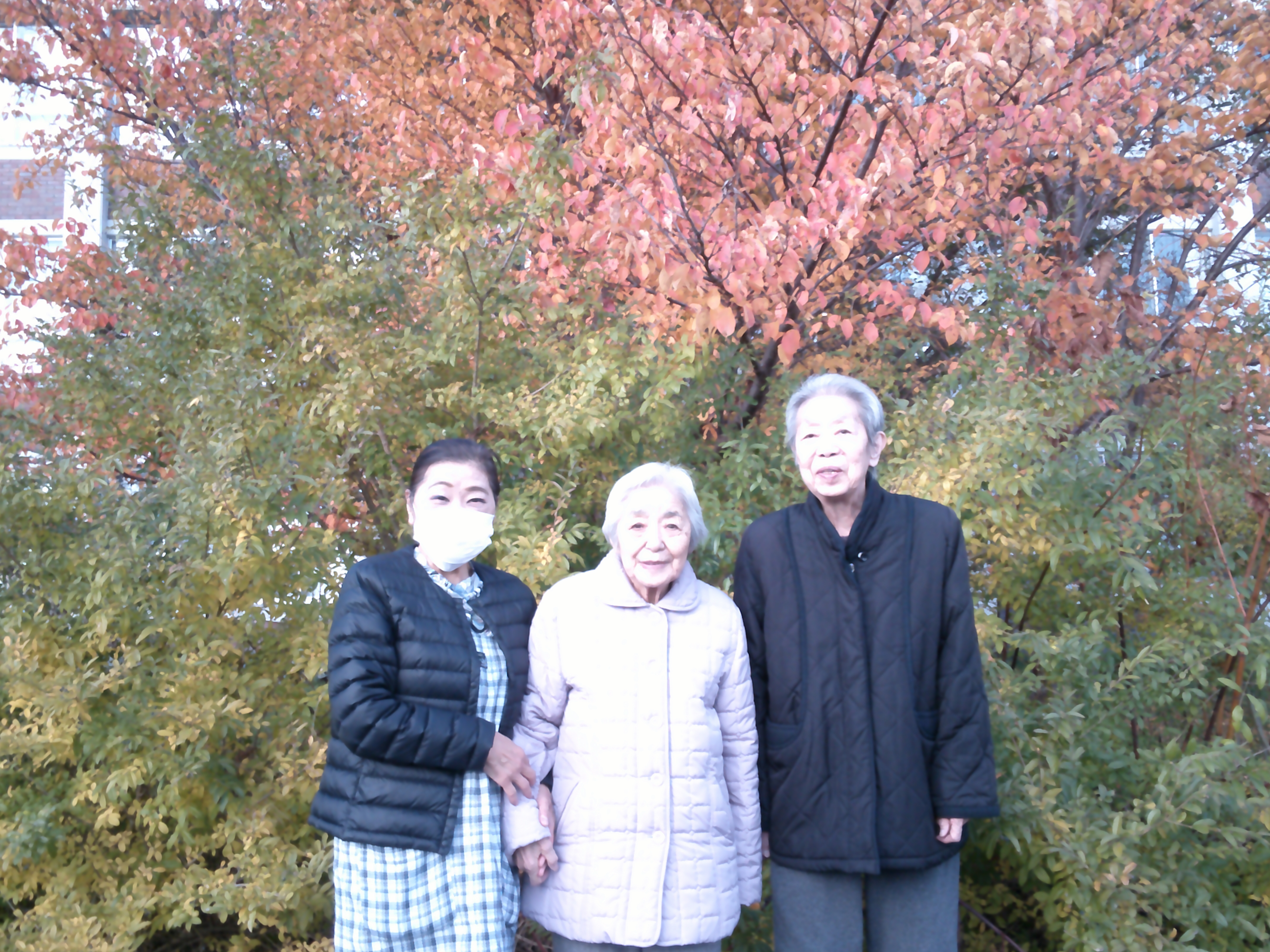 ファイル 1233-1.jpg