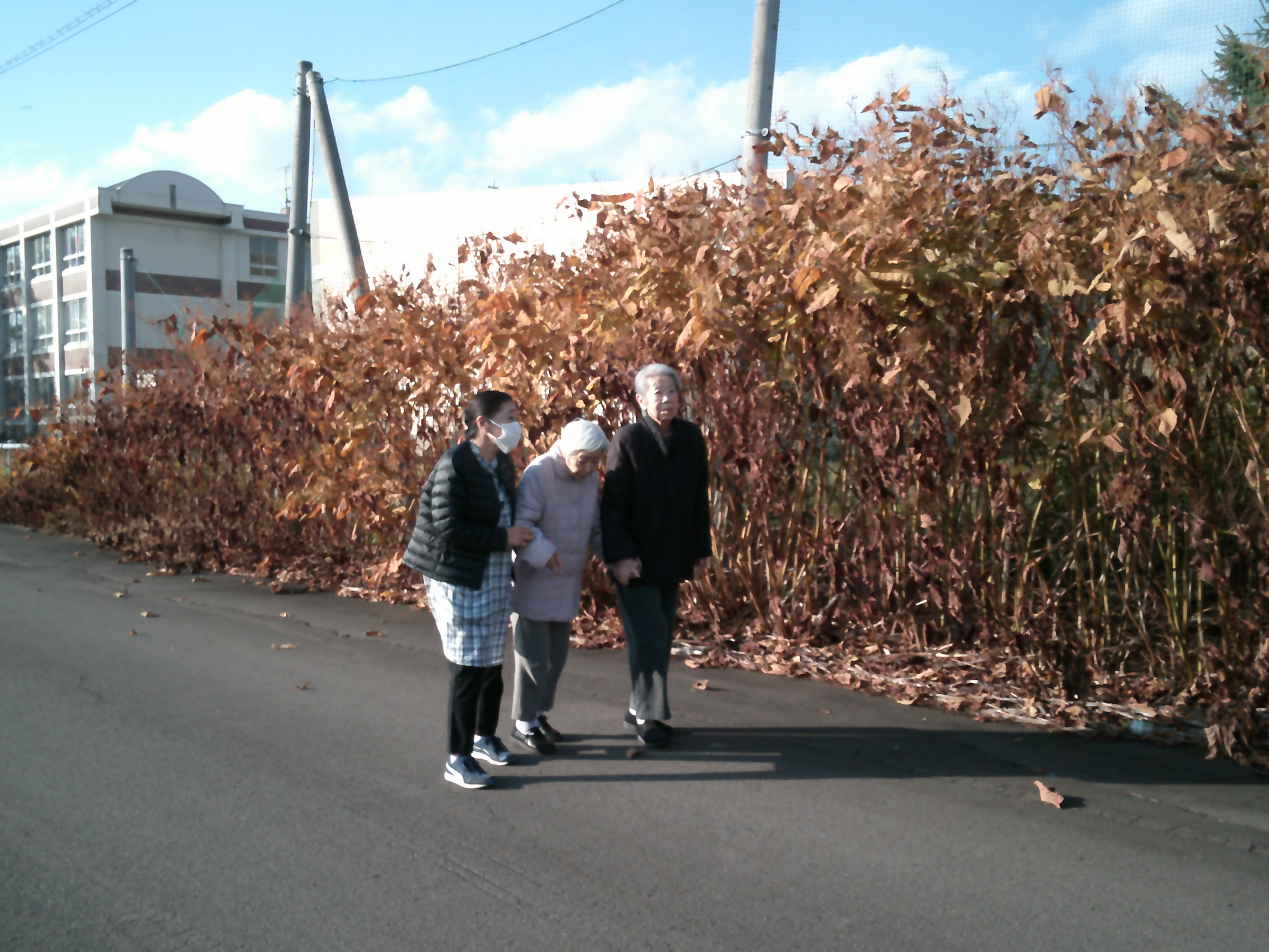 ファイル 1233-2.jpg