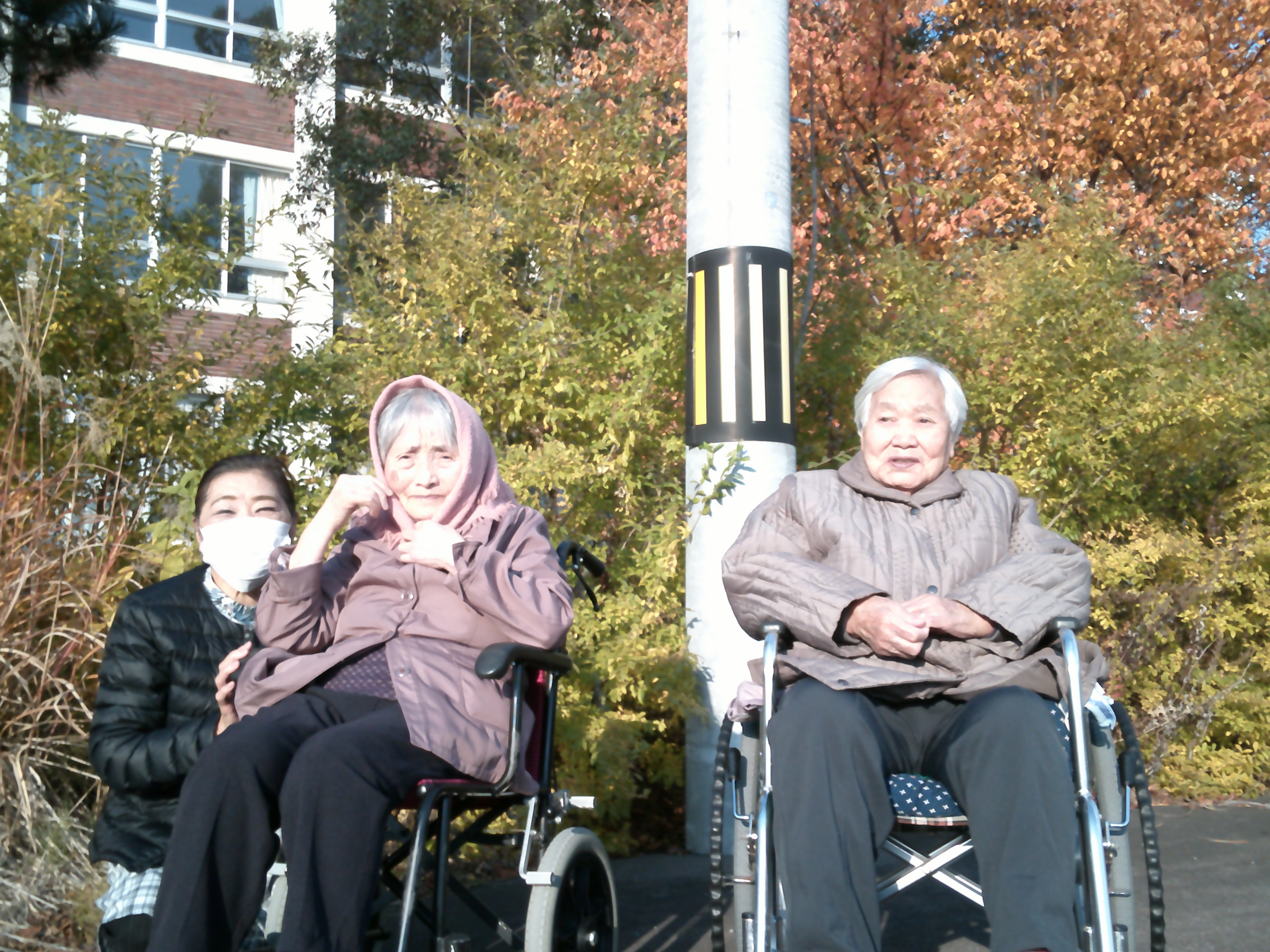 ファイル 1234-2.jpg